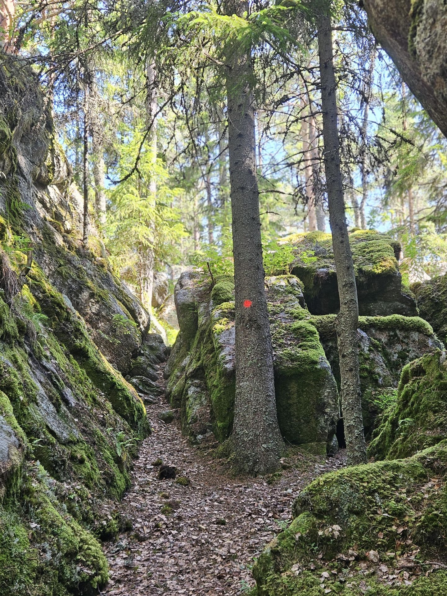 Valsbergs vandringsled