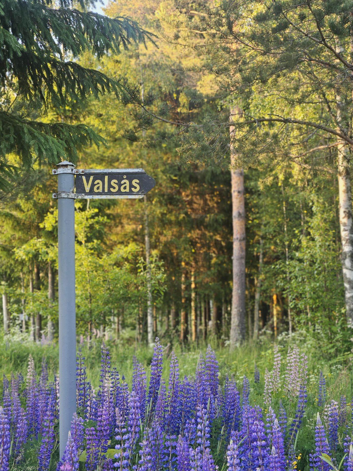 Skylt på Valsberg som pekar mot Valsås